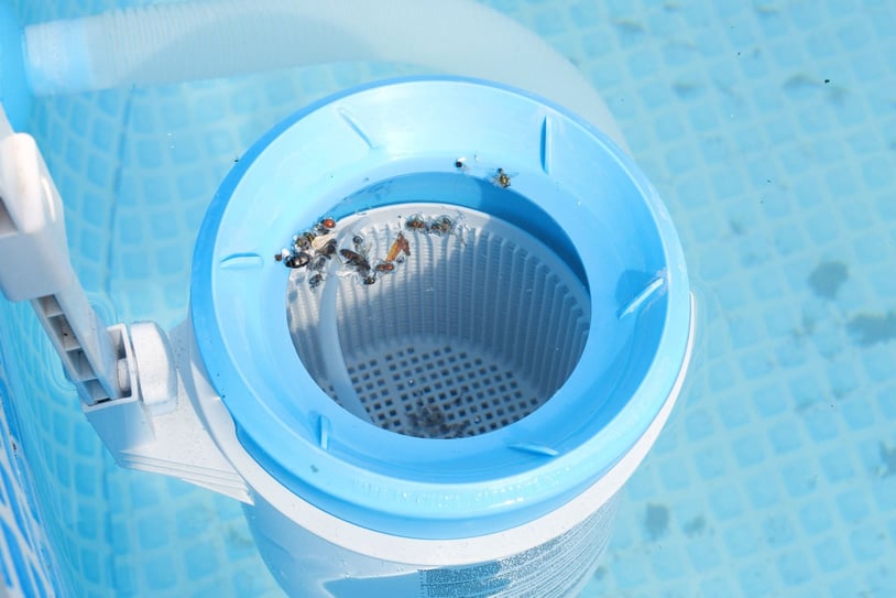 How to Clean a Pool Filter at Home Safely and Properly